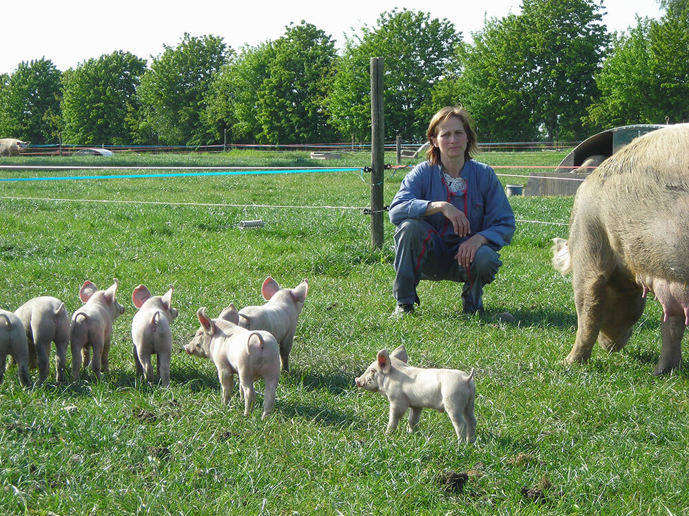 Vente A La Ferme La Touche Guillet Commandez Nos Produits En Ligne
