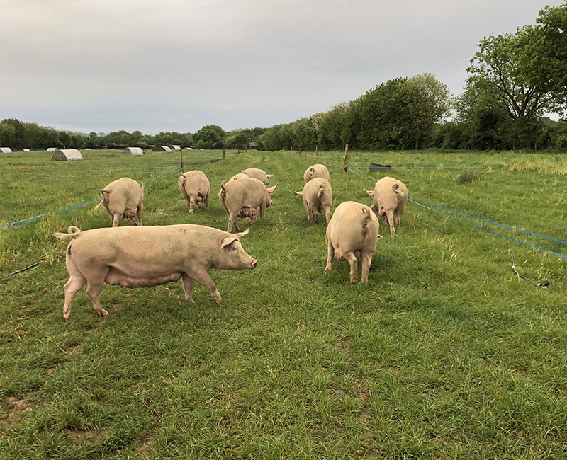 Vente A La Ferme La Touche Guillet Img1